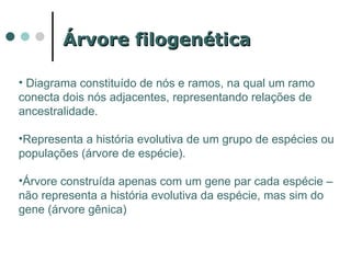 Árvore filogenética

• Diagrama constituído de nós e ramos, na qual um ramo
conecta dois nós adjacentes, representando relações de
ancestralidade.

•Representa a história evolutiva de um grupo de espécies ou
populações (árvore de espécie).

•Árvore construída apenas com um gene par cada espécie –
não representa a história evolutiva da espécie, mas sim do
gene (árvore gênica)
 