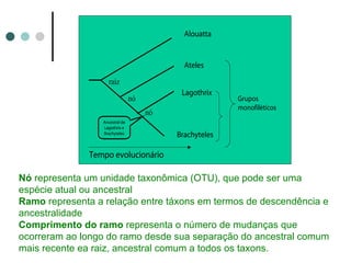 Alouatta


                                             Ateles
                    raiz
                                            Lagothrix
                                 nó                      Grupos
                                                         monofiléticos
                                      nó
                  Ancestral de
                  Lagothrix e
                  Brachyteles              Brachyteles

              Tempo evolucionário

Nó representa um unidade taxonômica (OTU), que pode ser uma
espécie atual ou ancestral
Ramo representa a relação entre táxons em termos de descendência e
ancestralidade
Comprimento do ramo representa o número de mudanças que
ocorreram ao longo do ramo desde sua separação do ancestral comum
mais recente ea raiz, ancestral comum a todos os taxons.
 