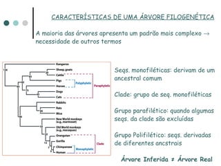 CARACTERÍSTICAS DE UMA ÁRVORE FILOGENÉTICA

A maioria das árvores apresenta um padrão mais complexo →
necessidade de outros termos



                         Seqs. monofiléticas: derivam de um
                         ancestral comum

                         Clade: grupo de seq. monofiléticas

                         Grupo parafilético: quando algumas
                         seqs. da clade são excluídas

                         Grupo Polifilético: seqs. derivadas
                         de diferentes ancstrais

                           Árvore Inferida ≠ Árvore Real
 