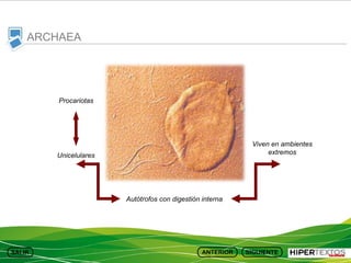 ARCHAEA

Procariotas

Viven en ambientes
extremos

Unicelulares

Autótrofos con digestión interna

 