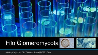 Filo Glomeromycota
Micologia agrícola | DR. Tancredo Souza | UFPB - CCA
 