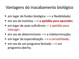 Vantagens do inacabamento biológico
 em lugar da fixidez biológica —> a flexibilidade;
 em vez de instintos —> a aptidão para aprender;
 em lugar de auto-suficiência — a aptidão para
  interagir;
 em vez do determinismo —> a indeterminação;
 em lugar da especialização —> a versatilidade;
 em vez de um programa fechado —> um
  programa aberto;
 