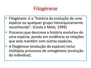 Filogénese
• Filogénese: é a "história da evolução de uma
  espécie ou qualquer grupo hierarquicamente
  reconhecido". (Costa e Melo, 1999)
• Processo que descreve a história evolutiva de
  uma espécie, pondo em evidência as relações
  que esta mantém com outras espécies.
• A filogénese (evolução da espécie) inclui
  múltiplos processos de ontogénese (evolução
  do indivíduo).
 