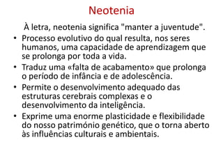 Neotenia
     À letra, neotenia significa "manter a juventude".
•   Processo evolutivo do qual resulta, nos seres
    humanos, uma capacidade de aprendizagem que
    se prolonga por toda a vida.
•   Traduz uma «falta de acabamento» que prolonga
    o período de infância e de adolescência.
•   Permite o desenvolvimento adequado das
    estruturas cerebrais complexas e o
    desenvolvimento da inteligência.
•   Exprime uma enorme plasticidade e flexibilidade
    do nosso património genético, que o torna aberto
    às influências culturais e ambientais.
 