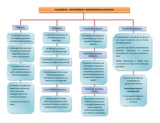 Filogénesis, ontogénesis y microgénesis (vigotsky) | DOC