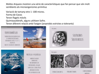 Moltes Arquees mostren una sèrie de característiques que fan pensar que són molt
semblants als microorganismes primitius
Variació de tamany etre 1 -100 micres.
Forma de Cocos
Tenen flagels mòvils
Quimioautòtrofs, alguns utilitzen Sofre.
Tenen diferent relació amb l’oxigen (anaerobis estrictes o tolerants)
 