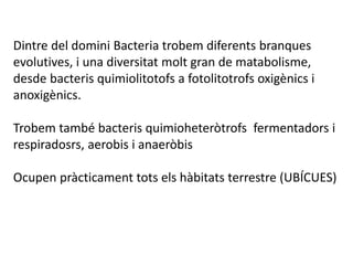 Dintre del domini Bacteria trobem diferents branques
evolutives, i una diversitat molt gran de matabolisme,
desde bacteris quimiolitotofs a fotolitotrofs oxigènics i
anoxigènics.
Trobem també bacteris quimioheteròtrofs fermentadors i
respiradosrs, aerobis i anaeròbis
Ocupen pràcticament tots els hàbitats terrestre (UBÍCUES)
 