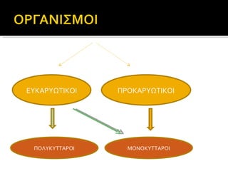 ΕΥΚΑΡΥΩΤΙΚΟΙ ΠΡΟΚΑΡΥΩΤΙΚΟΙ ΜΟΝΟΚΥΤΤΑΡΟΙ ΠΟΛΥΚΥΤΤΑΡΟΙ 