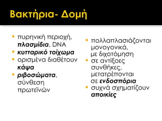 πυρηνική περιοχή,  πλασμίδια ,  DNA κυτταρικό τοίχωμα ορισμένα διαθέτουν  κάψα ριβοσώματα , σύνθεση πρωτεϊνών πολλαπλασιάζονται μονογονικά,  με διχοτόμηση σε αντίξοες συνθήκες, μετατρέπονται  σε  ενδοσπόρια συχνά σχηματίζουν  αποικίες 
