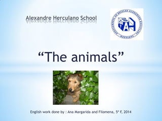 “The animals”
English work done by : Ana Margarida and Filomena, 5º F, 2014
 
