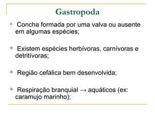 Gastropoda
   Concha formada por uma valva ou ausente
    em algumas espécies;

   Existem espécies herbívoras, carnívoras e
    detritívoras;

   Região cefálica bem desenvolvida;

    Respiração branquial → aquáticos (ex:
    caramujo marinho);
 