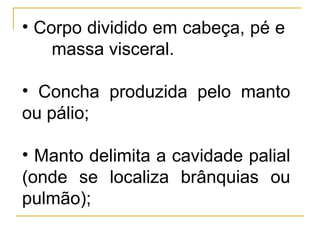 • Corpo dividido em cabeça, pé e
    massa visceral.

• Concha produzida pelo manto
ou pálio;

• Manto delimita a cavidade palial
(onde se localiza brânquias ou
pulmão);
 
