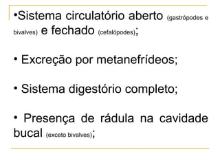 •Sistema circulatório aberto         (gastrópodes e

bivalves) e fechado (cefalópodes);



• Excreção por metanefrídeos;

• Sistema digestório completo;

• Presença de rádula na cavidade
bucal (exceto bivalves);
 