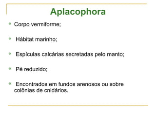 Aplacophora
   Corpo vermiforme;

   Hábitat marinho;

   Espículas calcárias secretadas pelo manto;

   Pé reduzido;

    Encontrados em fundos arenosos ou sobre
    colônias de cnidários.
 
