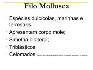 Filo Mollusca
•   Espécies dulcícolas, marinhas e
    terrestres.
•   Apresentam corpo mole;
•   Simetria bilateral;
•   Triblásticos;
•   Celomados  (celoma reduzido e geralmente restrito à cavidade pericárdica no adulto)   .
 