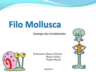 Zoologia dos Invertebrados 
Professores: Bianca Oliveira 
Mauro Emílio 
Thalita Maciel 
Abril/2014 
 