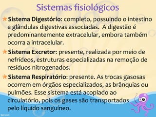 Sistema Digestório: completo, possuindo o intestino
e glândulas digestivas associadas. A digestão é
predominantemente extracelular, embora também
ocorra a intracelular.
Sistema Excretor: presente, realizada por meio de
nefrídeos, estruturas especializadas na remoção de
resíduos nitrogenados.
Sistema Respiratório: presente. As trocas gasosas
ocorrem em órgãos especializados, as brânquias ou
pulmões. Esse sistema está acoplado ao
circulatório, pois os gases são transportados
pelo líquido sanguíneo.
 