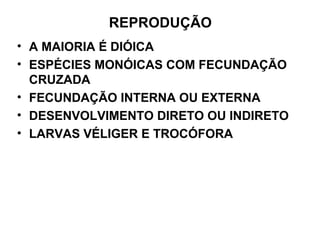 REPRODUÇÃO
• A MAIORIA É DIÓICA
• ESPÉCIES MONÓICAS COM FECUNDAÇÃO
CRUZADA
• FECUNDAÇÃO INTERNA OU EXTERNA
• DESENVOLVIMENTO DIRETO OU INDIRETO
• LARVAS VÉLIGER E TROCÓFORA
 