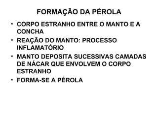 FORMAÇÃO DA PÉROLA
• CORPO ESTRANHO ENTRE O MANTO E A
CONCHA
• REAÇÃO DO MANTO: PROCESSO
INFLAMATÓRIO
• MANTO DEPOSITA SUCESSIVAS CAMADAS
DE NÁCAR QUE ENVOLVEM O CORPO
ESTRANHO
• FORMA-SE A PÉROLA
 