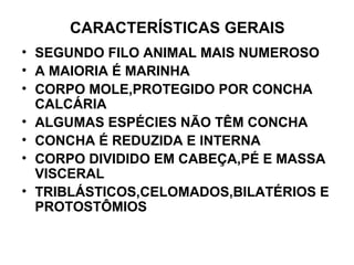 CARACTERÍSTICAS GERAIS
• SEGUNDO FILO ANIMAL MAIS NUMEROSO
• A MAIORIA É MARINHA
• CORPO MOLE,PROTEGIDO POR CONCHA
CALCÁRIA
• ALGUMAS ESPÉCIES NÃO TÊM CONCHA
• CONCHA É REDUZIDA E INTERNA
• CORPO DIVIDIDO EM CABEÇA,PÉ E MASSA
VISCERAL
• TRIBLÁSTICOS,CELOMADOS,BILATÉRIOS E
PROTOSTÔMIOS
 