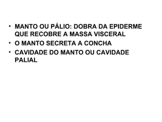 • MANTO OU PÁLIO: DOBRA DA EPIDERME
QUE RECOBRE A MASSA VISCERAL
• O MANTO SECRETA A CONCHA
• CAVIDADE DO MANTO OU CAVIDADE
PALIAL
 