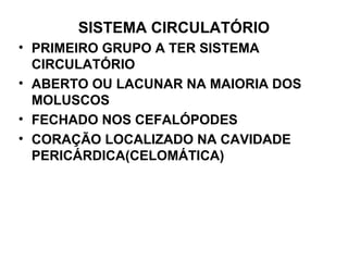 SISTEMA CIRCULATÓRIO
• PRIMEIRO GRUPO A TER SISTEMA
CIRCULATÓRIO
• ABERTO OU LACUNAR NA MAIORIA DOS
MOLUSCOS
• FECHADO NOS CEFALÓPODES
• CORAÇÃO LOCALIZADO NA CAVIDADE
PERICÁRDICA(CELOMÁTICA)
 