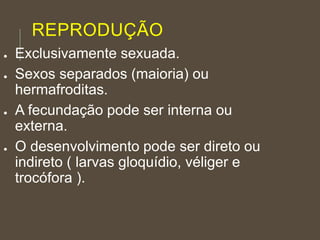 REPRODUÇÃO
● Exclusivamente sexuada.
● Sexos separados (maioria) ou
hermafroditas.
● A fecundação pode ser interna ou
externa.
● O desenvolvimento pode ser direto ou
indireto ( larvas gloquídio, véliger e
trocófora ).
 