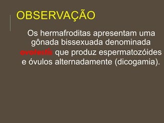 OBSERVAÇÃO
Os hermafroditas apresentam uma
gônada bissexuada denominada
ovotestis que produz espermatozóides
e óvulos alternadamente (dicogamia).
 