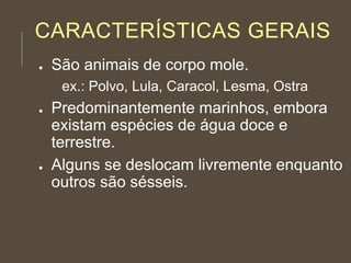 CARACTERÍSTICAS GERAIS
● São animais de corpo mole.
ex.: Polvo, Lula, Caracol, Lesma, Ostra
● Predominantemente marinhos, embora
existam espécies de água doce e
terrestre.
● Alguns se deslocam livremente enquanto
outros são sésseis.
 