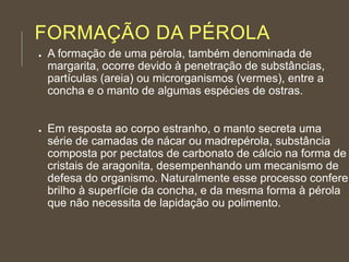FORMAÇÃO DA PÉROLA
● A formação de uma pérola, também denominada de
margarita, ocorre devido à penetração de substâncias,
partículas (areia) ou microrganismos (vermes), entre a
concha e o manto de algumas espécies de ostras.
● Em resposta ao corpo estranho, o manto secreta uma
série de camadas de nácar ou madrepérola, substância
composta por pectatos de carbonato de cálcio na forma de
cristais de aragonita, desempenhando um mecanismo de
defesa do organismo. Naturalmente esse processo confere
brilho à superfície da concha, e da mesma forma à pérola
que não necessita de lapidação ou polimento.
 