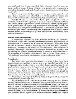 espermatóforos (feixes de espermatozóides). Muitos pulmonados terrestres lançam um
dardo a partir de um saco do dardo, injetando-o no corpo do parceiro para aumentar a
excitação antes da cópula. Após a cópula, cada parceiro deposita seus ovos em cavidades
rasas no solo.
       Gastrópodes com características mais primitivas expelem ovos e espermatozóides
para a água do mar, onde ocorre a fecundação e os embriões eclodem brevemente como
larvas trocóforas livre-natantes. Na maioria dos gastrópodes a fertilização é interna.
       Ovos fecundados e envolvidos isoladamente em cápsulas transparentes podem ser
eliminados para flutuar entre o plâncton, ou podem ser postos em camadas gelatinosas
aderidas ao substrato. Algumas formas marinhas encerram seus ovos em pequenos grupos,
ou em grande número, em cápsulas ovígeras resistentes, ou numa ampla variedade de
cápsulas ovígeras. A prole geralmente emerge na fase de larva véliger, ou pode ficar retida
na cápsula ovígera por todo o estádio de véliger e emergir como caracóis juvenis. Algumas
espécies, incluindo muitos caramujos de água doce, são ovovivíparas, encubando seus ovos e
a prole no oviduto palial.

Principais Grupos de Gastrópodes
       A classificação tradicional da classe Gastropoda reconhecia três subclasses:
Prosobranchia, a maior delas, com quase todas as espécies marinhas; Opisthobranchia, um
agrupamento que inclui lesmas do mar, lebres-do-mar, nudibrânquios, conchas canoa, todos
marinhos; e Pulmonata, reunindo a maioria das espécies de água doce e terrestres.
Atualmente, a taxonomia dos gastrópocles está em transformação. Evidência sugere que a
subclasse Prosobranchia é parafilética. Opisthobranchia pode ou não ser parafilética, mas
Opisthobranchia e Pulmonata juntos aparentemente formam um agrupamento monofilético.
Por conveniência e organização, continuaremos a usar os termos "prosobrânquios" e
"opistobrânquios", reconhecendo que eles podem representar táxons não válidos.

Prosobrânquios
       Este grupo reúne a maioria dos caramujos marinhos, alguns de água doce e alguns
caracóis terrestres. A cavidade do manto é anterior em decorrência da torção, com a
brânquia ou brânquias situadas anteriores ao coração. A água entra pelo lado esquerdo e sai
pelo lado direito, e a margem do manto frequentemente prolonga-se em um longo sifão para
separar a corrente inalante da exalante. Em prosobrânquios com duas brânquias (por
exemplo, o abalone Haliotis e a lapa de concha perfurada Diodora, a autopoluição da
cavidade do manto é evitada com o fluxo exalante da corrente de água se dirigindo para o
teto do manto e saindo através de um ou mais furos na concha.
       Prosobrânquios têm um par de tentáculos. Os sexos são geralmente separados. Um
opérculo está frequentemente presente.
       Os prosobrânquios variam em tamanho desde as litorinas e pequenas lapas (Patella e
Diodora), até as enormes conchas de Pleuroploca, o maior gastrópode no Oceano Atlântico.
Exemplos familiares de prosobrânquios são os abalones (Haliotis), os quais têm concha em
forma de orelha; os búzios (Busycon), os quais depositam seus ovos em cápsulas discóides,
com margens carenadas, unidas a um cordão de um metro de comprimento; as comuns
litorinas (Littorina); os naticídeos (Polinices); os perfuradores de ostras (Urosalpinx), os
quais perfuram a concha e sugam os fluidos das ostras; muricídeos (Murex), como a espécie
 