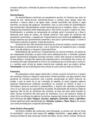 europeia usada para a obtenção da púrpura real dos antigos romanos; e algumas formas de
água doce.

Opistobrânquios
       Os opistobrânquios constituem um agrupamento peculiar de moluscos que inclui as
lesmas do mar, lebres-do-mar, borboletas-do-mar e conchas canoa. Quase todos são
marinhos; a maioria deles é de águas rasas, vivendo escondidos sob pedras e algas
marinhas; uns poucos são pelágicos. Atualmente, nove ou mais ordens de opistobrânquios
são reconhecidas. Opistobrânquios exibem destorção parcial ou completa. Assim, o ânus e
brânquias (se presentes) estão deslocados para o lado direito ou para a traseira do corpo.
Evidentemente, o problema da autopoluição da cavidade palial é prevenido se o ânus é
deslocado para longe da cabeça, em direção posterior. Dois pares de tentáculos são
geralmente encontrados, o segundo par frequentemente mais modificado (rinóforos), com
pregas lamelares que aparentemente aumentam a área para a quimiorrecepção. A concha é
tipicamente reduzida ou ausente. Todos são monóicos.
       As lebres-do-mar têm tentáculos anteriores em forma de orelhas e concha vestigial.
Nos pterópodes ou borboletas-do-mar, o pé é modificado em nadadeiras para a natação;
assim, eles são pelágicos e integram a fauna planctônica.
       Nudibrânquios são carnívoros e frequentemente de colorido brilhante. As lesmas do
mar emplumadas (Aeolidae), as quais vivem sobre anêmonas-do-mar e hidróides, possuem
papilas tegumentárias alongadas (ceratos) cobrindo o dorso. Elas ingerem os nematocistos
de suas presas e transportam aqueles não explodidos para a extremidade dos ceratos. Ali,
os nematocistos são armazenados no interior de cnidossacos que se abrem para o exterior,
e o aeolídeo pode utilizar-se desses nematocistos roubados para sua própria defesa.
Hermissenda é um dos nudibrânquios mais comuns da costa oeste da América do Norte.

Pulmonados
       Os pulmonados exibem alguma destorção e incluem caracóis terrestres e a maioria
dos caramujos límnicos e lesmas (e umas poucas formas marinhas e de água salobre). Eles
perderam os ctenídios ancestrais, mas a parede vascularizada do manto tomou-se um
pulmão, o qual se enche de ar por contração do assoalho do manto (algumas espécies
aquáticas desenvolveram brânquias secundárias na cavidade do manto). O ânus e o
nefridióporo abrem-se próximos ao pneumostômio, e dejetos são expelidos eficazmente
com o ar ou a água que sai vigorosamente do pulmão. Os pulmonados são monóicos. Espécies
aquáticas têm um par de tentáculos não retráteis, na base dos quais estão situados os
olhos; formas terrestres têm dois pares de tentáculos, com o par posterior dotado de
olhos. Entre as milhares de espécies terrestres, algumas das formas da América do Norte
mais familiares são Helix, Polygiyra, Succinea, Anguispira, Zonitoides, Limax e Agriolimax.
Formas aquáticas estão representadas por Helisoma, Lymnaea e Physa. Physa é um caracol
com concha enrolada para a esquerda (sinistrógira).

Classe Bivalvia (Pelecypoda)
      Os Bivalvia também são conhecidos como Pelecypoda, ou animais com "pé em forma
de machadinha". como seu nome sugere (Gr. pelekys, machadinha, + pous, podos, pé). São
moluscos dotados de duas valvas que incluem mexilhões, vieiras, ostras, teredos. Variam em
 
