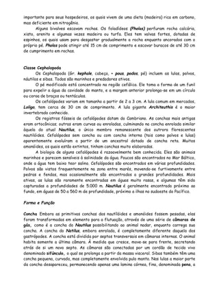 importante para seus hospedeiros, os quais vivem de uma dieta (madeira) rica em carbono,
mas deficiente em nitrogênio.
       Alguns bivalves escavam rochas. Os foladídeos (Pholas) perfuram rocha calcária,
xisto, arenito e algumas vezes madeira ou turfa. Eles tem valvas fortes, dotadas de
espinhos, os quais usam para desgastar gradualmente a rocha enquanto ancorados com o
próprio pé. Pholas pode atingir até 15 cm de comprimento e escavar buracos de até 30 cm
de cumprimento em rochas.



Classe Cephalopoda
       Os Cephalopoda (Gr. kephale, cabeça, + pous, podos, pé) incluem as lulas, polvos,
náutilos e sibas. Todos são marinhos e predadores ativos.
       O pé modificado está concentrado na região cefálica. Ele toma a forma de um funil
para expelir a água da cavidade do manto, e a margem anterior prolonga-se em um círculo
ou coroa de braços ou tentáculos.
       Os cefalópodes variam em tamanho a partir de 2 a 3 cm. A lula comum em mercados,
Loligo, tem cerca de 30 cm de comprimento. A lula gigante Architeuthis é o maior
invertebrado conhecido.
       Os registros fósseis de cefalópodes datam do Cambriano. As conchas mais antigas
eram ortocônicas; outras eram curvas ou enroladas, culminando na concha enrolada similar
àquela do atual Nautilus, o único membro remanescente dos outrora florescentes
nautilóides. Cefalópodes sem concha ou com concha interna (tais como polvos e lulas)
aparentemente evoluíram a partir de um ancestral dotado de concha reta. Muitos
amonóides, os quais estão extintos, tinham conchas muito elaboradas.
       A biologia de alguns cefalópodes é razoavelmente bem conhecida. Eles são animais
marinhos e parecem sensíveis à salinidade da água. Poucos são encontrados no Mar Báltico,
onde a água tem baixo teor salino. Cefalópodes são encontrados em várias profundidades.
Polvos são vistos frequentemente na zona entre marés, movendo-se furtivamente entre
pedras e fendas, mas ocasionalmente são encontrados a grandes profundidades. Mais
ativas, as lulas são raramente encontradas em águas muito rasas, e algumas têm sido
capturadas a profundidades de 5.000 m. Nautilus é geralmente encontrado próximo ao
fundo, em águas de 50 a 560 m de profundidade, próximo a ilhas no sudoeste do Pacífico.

Forma e Função

Concha Embora as primitivas conchas dos nautílóides e amonóides fossem pesadas, elas
foram transformadas em elemento para a flutuação, através de uma série de câmaras de
gás, como é a concha do Nautilus possibilitando ao animal nadar, enquanto carrega sua
concha. A concha do Natilus, embora enrolada, é completamente diferente daquela dos
gastrópodes. A concha está dividida por septos transversais em câmaras internas. O animal
habita somente a última câmara. À medida que cresce, move-se para frente, secretando
atrás de si um novo septo. As câmaras são conectadas por um cordão de tecido vivo
denominado sifúnculo, o qual se prolonga a partir da massa visceral. Sibas também têm uma
concha pequena, curvada, mas completamente envolvida pulo manto. Nas lulas a maior parte
da concha desapareceu, permanecendo apenas uma lamina córnea, fina, denominada pena, a
 