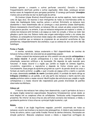 bivalves ignoram o creosoto e outros perfuram concreto). Caracóis e lesmas
frequentemente danificam jardins e outras vegetações. Além disso, caramujos servem
muitas vezes de hospedeiros para perigosos parasitas. O caramujo perfurador Urosalpinx
rivaliza com as estrelas-do-mar na destruição de ostras.
       Os bivalves (classe Bivalvia) diversificaram-se em muitas espécies, tanto marinhas
como de água doce. Os maiores e mais inteligentes de todos os invertebrados estão na
classe dos Cephalopoda (lulas, nautilus, polvos e outros). Entretanto os moluscos mais
abundantes e mais disseminados são os caramujos e seus parentes (classe Gastropoda).
Embora imensamente diversificados, os moluscos têm em comum um plano corporal básico.
O que parece peculiar, no entanto, é que os moluscos malograram em explorar o celoma. O
celoma nos moluscos está limitado a um espaço ao redor do coração, e talvez ao redor das
gônadas e parte dos rins. Embora tenha uma origem embriológica similar a do celoma dos
anelídeos, as consequências funcionais desse espaço são completamente diferentes. Alguns
zoólogos acreditam que os moluscos se originaram de um ancestral vermiforme do tipo
platelmintes, independentemente dos anelídeos, e que os celomas de um e de outro não são
homólogos.

Forma e Função
       A enorme variedade, beleza exuberante e fácil disponibilidade de conchas de
moluscos tornou o hábito de colecioná-las um passatempo popular.
       O plano corporal dos moluscos pode ser dito consistir em uma porção cefalopediosa e
uma massa visceral. A porção cefalopediosa é a mais ativa, contendo os órgãos de
alimentação, sensoriais cefálicos e da locomoção. Ela depende da ação muscular para
funcionar. A massa visceral é a região que contém os órgãos do sistema digestivo,
circulatório, respiratório e reprodutivo e depende de tratos ciliares para o seu
funcionamente. Duas pregas da epiderme projetam-se a partir da parede dorsal do corpo e
formam um manto protetor, ou pálio, o qual circunda um espaço entre o manto e a parede
do corpo, denominado cavidade de manto (cavidade palial). A cavidade de manto abriga as
brânquias (ctenídios) ou um pulmão, e em uma parte dos moluscos o manto secreta uma
concha protetora sobre a massa visceral. Modificações das estruturas que compõe a região
cefalopediosa e a massa vísceral são responsáveis pela grande diversidade de padrões
observados nos Mollusca.

Cabeça-pé
      A maioria dos moluscos tem cabeça bem desenvolvida, a qual é portadora da boca e
de alguns órgãos sensoriais especializados. Receptores fotossensoriais variam desde os
mais simples até os complexos olhos de cefalópodes. Tentáculos estão frequentemente
presentes. No interior da boca situa-se uma estrutura exclusiva dos moluscos, a rádula, e
geralmente posterior à boca situa-se o principal órgão locomotor, o pé.

Rádula
      A rádula é um órgão linguiforme raspador, protrátil, encontrado em todos            os
moluscos, exceto nos bivalves e na maioria dos solenogastres. A rádula é uma membrana    em
forma de esteira, sobre a qual estão fixadas fileiras de dentes diminutos, flexionados   em
direção posterior. Músculos complexos movem a rádula e respectivas cartilagens           de
 