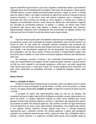 suporte (odontóforo) para dentro e para fora, enquanto a membrana radular é parcialmente
deslizada sobre as extremidades das cartilagens. Pode haver de uns poucos a tantos quanto
250.000 dentes, os quais, quando protraídos podem perfurar, rasgar ou cortar. A função
usual da rádula é dupla: a de raspar arrancando de superfícies duras as finas partículas de
material alimentar, e a de servir como uma esteira condutora para o transporte de
partículas num fluxo contínuo em direção ao trato digestivo. A medida que a rádula se
desgasta na extremidade anterior, novas fileiras de dentes são continuamente repostas
por secreção da extremidde posterior. O padrão e o número de dentes numa fileira
transversal são típicos para cada espécie e usados na classificação dos moluscos.
Especializações radulares muito interessantes são encontradas em algumas formas, tais
como para perfurar através de materiais duros ou para arpoar presas.

Pé
      O pé dos moluscos pode estar diversamente adaptado para locomoção, para fixação a
um substrato ou para uma combinação de funções é geralmente uma estrutura ventral, em
forma de sola, na qual ondas de contração muscular promovem uma locomoção por
rastejamento. Há, entretanto muitas modificações tais como o pé discoide das lapas, usado
para adesão, o pé lateralmente comprimido “pé em machadinha” dos bivalves, ou o sifão
para propulsão a jato em lulas e polvos. O muco secretado é frequentemente usado como
um auxiliar para a adesão, ou como esteira viscosa por pequenos moluscos que deslizam por
ação ciliar.
      Em caramujos, caracóis e bivalves o pé é estendido hidraulicamente a partir do
corpo, por ingurgitamento com sangue. Formas cavadoras podem estender o pé para dentro
do lodo oou areia, expandí-lo com pressão sanguínea e então usar o pé assim ingurgitado
como âncora para puxar o corpo para frente. Em formas pelágicas (livre-natantes) o pé
pode estar modificado em parapódios aliformes, ou nadadeiras delgadas, móveis, para
natação.

Massa Visceral

Manto e Cavidade do Manto
       O manto é uma bainha de epiderme que se estende a partir da massa visceral e pende
de cada lado do corpo protegendo as partes moles e criando, entre ela própria e a massa
visceral, um espaço denominado cavidade do manto. A superfície externa do manto secreta
a concha.
       A cavidade do manto tem importantíssimo papel na vida de um molusco. Ela
comumente abriga os órgãos respiratórios (brânquias ou pulmão), os quais desenvolvem-se a
partir do manto, e a própria superfície exposta do manto serve também para trocas
gasosas. Produtos dos sistemas digestivo, excretor e reprodutor são lançados para dentro
da cavidade do manto. Em moluscos aquáticos, uma contínua corrente de água mantida por
cílios da superfície do corpo, ou por ação muscular bombeadora, traz oxigénio para dentro
e, em algumas formas, alimento; arrasta dejetos para fora; e carrega elementos
reprodutivos para o ambiente externo. Em formas aquáticas o manto está geralmente
equipado com receptores sensoriais para testar a água em redor. Nos cefalópodes (lulas e
polvos), o manto muscular e a respectiva cavidade palial geram jato-propulsão usada na
 