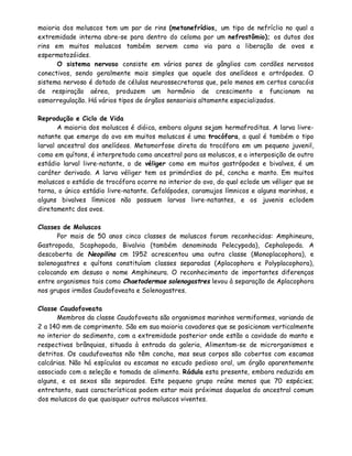 maioria dos moluscos tem um par de rins (metanefrídios, um tipo de nefríclio no qual a
extremidade interna abre-se para dentro do celoma por um nefrostômio); os dutos dos
rins em muitos moluscos também servem como via para a liberação de ovos e
espermatozóides.
      O sistema nervoso consiste em vários pares de gânglios com cordões nervosos
conectivos, sendo geralmente mais simples que aquele dos anelídeos e artrópodes. O
sistema nervoso é dotado de células neurossecretoras que, pelo menos em certos caracóis
de respiração aérea, produzem um hormônio de crescimento e funcionam na
osmorregulação. Há vários tipos de órgãos sensoriais altamente especializados.

Reprodução e Ciclo de Vida
       A maioria dos moluscos é dióica, embora alguns sejam hermafroditas. A larva livre-
natante que emerge do ovo em muitos moluscos é uma trocófora, a qual é também o tipo
larval ancestral dos anelídeos. Metamorfose direta da trocófora em um pequeno juvenil,
como em quítons, é interpretada como ancestral para as moluscos, e a interposição de outro
estádio larval livre-natante, o de véliger como em muitos gastrópodes e bivalves, é um
caráter derivado. A larva véliger tem os primórdios do pé, concha e manto. Em muitos
moluscos o estádio de trocófora ocorre no interior do ovo, do qual eclode um véliger que se
torna, o único estádio livre-natante. Cefalópodes, caramujos límnicos e alguns marinhos, e
alguns bivalves límnicos não possuem larvas livre-natantes, e os juvenis eclodem
diretamentc dos ovos.

Classes de Moluscos
      Por mais de 50 anos cinco classes de moluscos foram reconhecidas: Amphineura,
Gastropoda, Scaphopoda, Bivalvia (também denominada Pelecypoda), Cephalopoda. A
descoberta de Neopilina cm 1952 acrescentou uma outra classe (Monoplacophora), e
solenogastres e quítons constituíam classes separadas (Aplacophora e Polyplacophora),
colocando em desuso o nome Amphineura. O reconhecimento de importantes diferenças
entre organismos tais como Chaetodermae solenogastres levou à separação de Aplacophora
nos grupos irmãos Caudofoveata e Solenogastres.

Classe Caudofoveata
      Membros da classe Caudofoveata são organismos marinhos vermiformes, variando de
2 a 140 mm de comprimento. São em sua maioria cavadores que se posicionam verticalmente
no interior do sedimento, com a extremidade posterior onde estão a cavidade do manto e
respectivas brânquias, situada à entrada da galeria, Alimentam-se de microrganismos e
detritos. Os caudufoveatas não têm concha, mas seus corpos são cobertos com escamas
calcárias. Não há espículas ou escamas no escudo pedioso oral, um órgão aparentemente
associado com a seleção e tomada de alimento. Rádula esta presente, embora reduzida em
alguns, e os sexos são separados. Este pequeno grupo reúne menos que 70 espécies;
entretanto, suas características podem estar mais próximas daquelas do ancestral comum
dos moluscos do que quaisquer outros moluscos viventes.
 