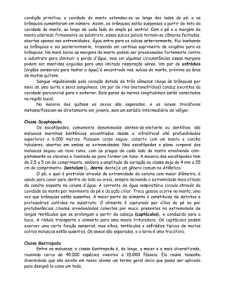 condição primitiva, a cavidade do manto estendeu-se ao longo dos lados do pé, e as
brânquias aumentaram em número. Assim, as brânquias estão suspensas a partir do teto da
cavidade do manto, ao longo de cada lado do amplo pé ventral. Com o pé e a margem do
manto aderindo firmemente ao substrato, esses sulcos paliais tornam-se câmaras fechadas,
abertas apenas nas extremidades. Água entra para os sulcas anteriormente, flui banhando
as brânquias e sai posteriormente, trazendo um contínuo suprimento de oxigénio para as
brânquias. Na maré baixa as margens do manto podem ser pressionadas fortemente contra
o substrato para diminuir a perda d'água, mas em algumas circunstâncias essas margens
podem ser mantidas erguidas para uma limitada respiração aérea. Um par de osfrádios
(órgãos sensoriais para testar a água) é encontrado nos sulcos do manto, próximo ao ânus
de muitas quítons.
      Sangue impulsionado pelo coração dotado de três câmaras chega às brânquias por
meio de uma aorta e seios sanguíneos. Um par de rins (metanefrídios) conduz excretas da
cavidade pericarciial para o exterior. Dois pares de nervos longitudinais estão conectados
na região bucal.
      Na maioria dos quítons os sexos são separados, e as larvas trocóforas
metamorfoseiam-se diretamente em juvenis, sem um estádio intermediário de véliger.

Classe Scaphopoda
      Os escafópodes, comumente denominados dentes-de-elefante ou dentálios, são
moluscos marinhos bentônicos encontrados desde o infralitoral até profundidades
superiores a 6.000 metros. Possuem corpo esguio, coberto com um manto e concha
tubulares, abertos em ambas as extremidades. Nos escafópodes o plano corporal dos
moluscos seguiu um novo rumo, com as pregas de cada lado do manto envolvendo com-
pletamente as vísceras e fundindo-se para formar um tubo. A maioria dos escafópodes tem
de 2,5 a 5 cm de comprimento, embora a amplitude de variação na classe seja de 4 mm a 25
cm de comprimento. Dentaliam (L. dentis, dente) é um gênero comum no Atlântico.
      O pé, o qual é protraído através da extremidade da concha com maior diâmetro, é
usado para cavar para dentro do lodo ou areia, sempre deixando a extremidade mais afilada
da concha exposta na coluna d'água. A corrente de água respiratória circula através da
cavidade do manto por movimento do pé e da ação ciliar. Troca gasosa ocorre no manto, uma
vez que brânquias estão ausentes. A maior parte do alimento é constituída de detritos e
protozoários contidos no substrato. O alimento é capturado por cílios do pé ou por
protuberâncias ciliadas arredondadas cobertas por muco, presentes na extremidade de
longos tentáculos que se prolongam a partir da cabeça (captáculos), e conduzido para a
boca, A rádula transporta o alimento para uma moela trituradora. Os captáculos podem
exercer uma certa função sensorial, mas olhos, tentáculos e osfrádios típicos de muitos
outros moluscos estão ausentes. Os sexos são separados, e a larva é uma trocófora.

Classe Gastropoda
      Entre os moluscos, a classe Gastropoda é, de longe, a maior e a mais diversificada,
reunindo cerca de 40.000 espécies viventes e 15.000 fósseis. Ela reúne tamanha
diversidade que não existe em nosso idioma um termo geral único que possa ser aplicado
para designá-la como um todo.
 
