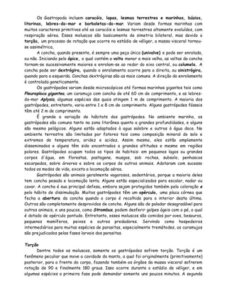 Os Gastropoda incluem caracóis, lapas, lesmas terrestres e marinhas, búzios,
litorinas, lebres-do-mar e borboletas-do-mar. Variam desde formas marinhas com
muitos caracteres primitivos até as caracóis e lesmas terrestres altamente evoluídos, com
respiração aérea. Esses moluscos são basicamente de simetria bilateral, mas devido a
torção, um processo de rotação que ocorre no estádio de véliger, a massa visceral tornou-
se assimétrica,
       A concha, quando presente, é sempre uma peça única (univalve) e pode ser enrolada,
ou não. Iniciando pelo ápice, o qual contém a volta menor e mais velha, as voltas da concha
tornam-se sucessivamente maiores e enrolam-se ao redor do eixo central, ou columela. A
concha pode ser dextrógira, quando o enrolamento ocorre para a direita, ou sinistrógira,
quando para a esquerda. Conchas dextrógiras são as mais comuns. A direção do enrolamento
é controlada geneticamente.
       Os gastrópodes variam desde microscópicos até formas marinhas gigantes tais como
Pleuroploca gigantea, um caramujo com concha de até 60 cm de comprimento, e as lebres-
do-mar Aplysia, algumas espécies das quais atingem 1 m de comprimento. A maioria dos
gastrópodes, entretanto, varia entre 1 e 8 cm de comprimento. Alguns gastrópodes fósseis
têm até 2 m de comprimento.
       É grande a variação de hábitats dos gastrópodes. No ambiente marinho, os
gastrópodes são comuns tanto na zona litorânea quanto a grandes profundidades, e alguns
são mesmo pelágicos. Alguns estão adaptados à agua salobre e outros à água doce. No
ambiente terrestre são limitados por fatores tais como composição mineral do solo e
extremos de temperatura, aridez e acidez. Assim mesmo, eles estão amplamente
disseminados e alguns têm sido encontrados a grandes altitudes e mesmo em regiões
polares. Gastrópodes ocupam todos os tipos de habitais: em pequenos lagos ou grandes
corpos d'água, em florestas, pastagens, musgos, sob rochas, subsolo, penhascos
escarpados, sobre árvores e sobre os corpos de outros animais. Adotaram com sucesso
todos os modos de vida, exceto a locomoção aérea.
       Gastrópodes são animais geralmente vagarosos, sedentários, porque a maioria deles
tem concha pesada e locomoção lenta. Alguns estão especializados para escalar, nadar ou
cavar. A concha é sua principal defesa, embora sejam protegidos também pela coloração e
pelo hábito de dissimulação. Muitos gastrópodes têm um opérculo, uma placa córnea que
fecha a abertura da concha quando o corpo é recolhido para o interior desta última.
Outros são completamente desprovidos de concha. Alguns são de paladar desagradável para
outros animais, e uns poucos, como Strombus, podem desferir golpes ágeis com o pé, o qual
é dotado de opérculo pontudo. Entretanto, esses moluscos são comidos por aves, besouros,
pequenos mamíferos, peixes e outros predadores. Servindo como hospedeiros
intermediários para muitas espécies de parasitas, especialmente tremátodes, os caramujos
são prejudicados pelas fases larvais dos parasitas.

Torção
      Dentre todos os moluscos, somente os gastrópodes sofrem torção. Torção é um
fenômeno peculiar que move a cavidade do manto, a qual foi originalmente (primitivamente)
posterior, para a frente do corpo, fazendo também os órgãos da massa visceral sofrerem
rotação de 90 e finalmente 180 graus. Isso ocorre durante o estádio de véliger, e em
algumas espécies a primeira fase pode demandar somente uns poucos minutos. A segunda
 