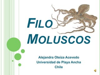 FILO
MOLUSCOS
  Alejandra Oteíza Acevedo
 Universidad de Playa Ancha
            Chile
 