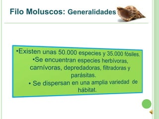 Filo Moluscos: Generalidades
 