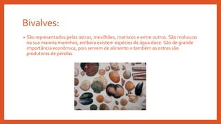 Bivalves:
• São representados pelas ostras, mexilhões, mariscos e entre outros. São moluscos
na sua maioria marinhos, embora existem espécies de água doce. São de grande
importância econômica, pois servem de alimento e também as ostras são
produtoras de pérolas.
 