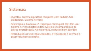 Sistemas:
• Digestão: sistema digestório completo (com Rádula). São
predadores. Sistema nervoso.
• Respiração: é branquial. A respiração é branquial. Eles têm um
sistema nervoso bastante desenvolvido se comparado ao de
outros invertebrados. Além da visão, o olfato é bem apurado.
• Reprodução: os sexos são separados, a fecundação é interna e o
desenvolvimento é direto.
 