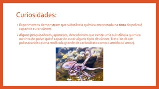 Curiosidades:
• Experimentos demonstram que substância química encontrada na tinta do polvo é
capaz de curar câncer.
• Alguns pesquisadores japoneses, descobriram que existe uma substância quimica
na tinta do polvo que é capaz de curar alguns tipos de câncer.Trata-se de um
polissacarideo (uma molécula grande de carboidrato como o amido do arroz).
 