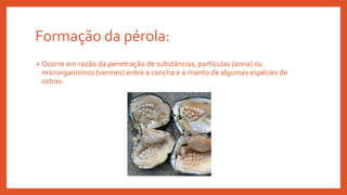 Formação da pérola:
• Ocorre em razão da penetração de substâncias, partículas (areia) ou
microrganismos (vermes) entre a concha e o manto de algumas espécies de
ostras.
 