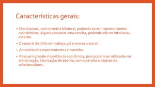 Características gerais:
• São viscosos, com simetria bilateral, podendo existir representantes
assimétricos, alguns possuem uma concha, podendo ela ser interna ou
externa.
• O corpo é dividido em cabeça, pé e massa visceral.
• A maioria dos representantes é marinha.
• Possuem grande importância econômica, pois podem ser utilizadas na
alimentação, fabricação de adorno, como pérolas e objetos de
colecionadores.
 