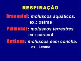 RESPIRAÇÃO Branquial :  moluscos aquáticos . ex.: ostras Pulmonar :  moluscos terrestres . ex.: caracol Cutânea :  moluscos sem concha . ex.: Lesma 