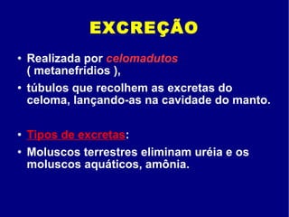 EXCREÇÃO Realizada por  celomadutos  ( metanefrídios ), túbulos que recolhem as excretas do celoma, lançando-as na cavidade do manto. Tipos de excretas : Moluscos terrestres eliminam uréia e os moluscos aquáticos, amônia. 