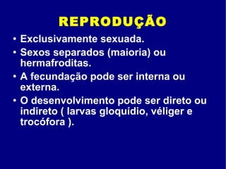 REPRODUÇÃO Exclusivamente sexuada.  Sexos separados (maioria) ou hermafroditas. A fecundação pode ser interna ou externa.  O desenvolvimento pode ser direto ou indireto ( larvas gloquídio, véliger e trocófora ).  