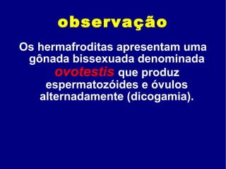 observação Os hermafroditas apresentam uma gônada bissexuada denominada  ovotestis  que produz espermatozóides e óvulos alternadamente (dicogamia). 
