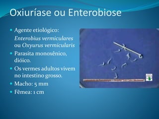 Oxiuríase ou Enterobiose
 Agente etiológico:
Enterobius vermiculares
ou Oxyurus vermicularis
 Parasita monoxênico,
dióico.
 Os vermes adultos vivem
no intestino grosso.
 Macho: 5 mm
 Fêmea: 1 cm
 